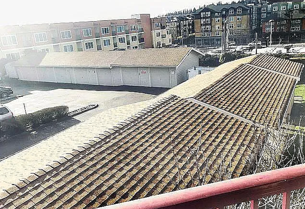 9910 Ne 119th St #204 - Photo 5 of 25