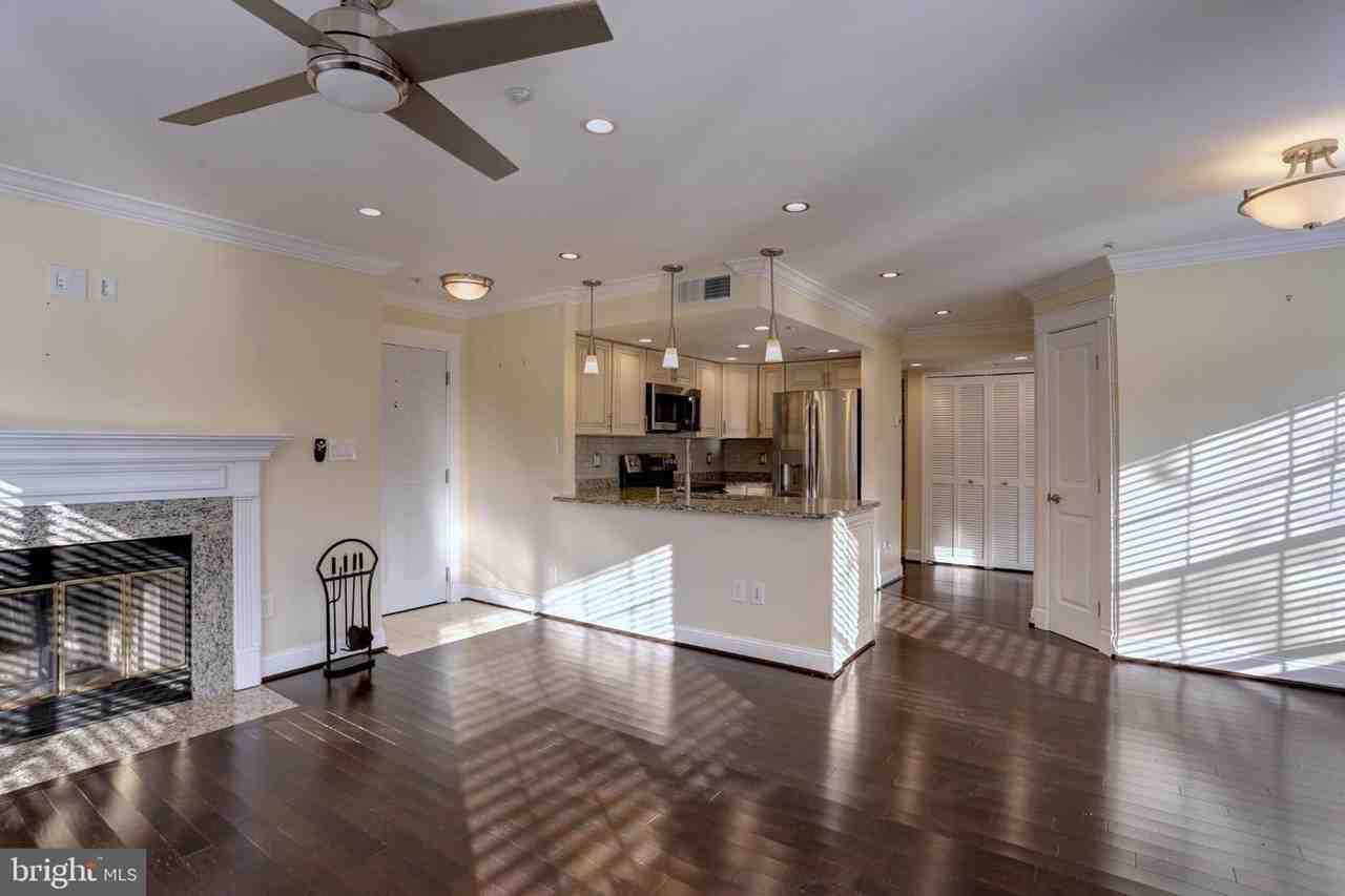 1101 Baybury Ct - Photo 3 of 14
