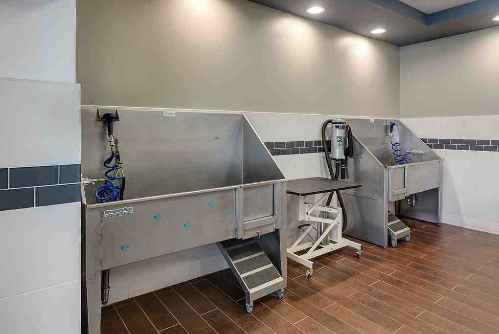 Ashton Sherman Village - Photo 7 of 39