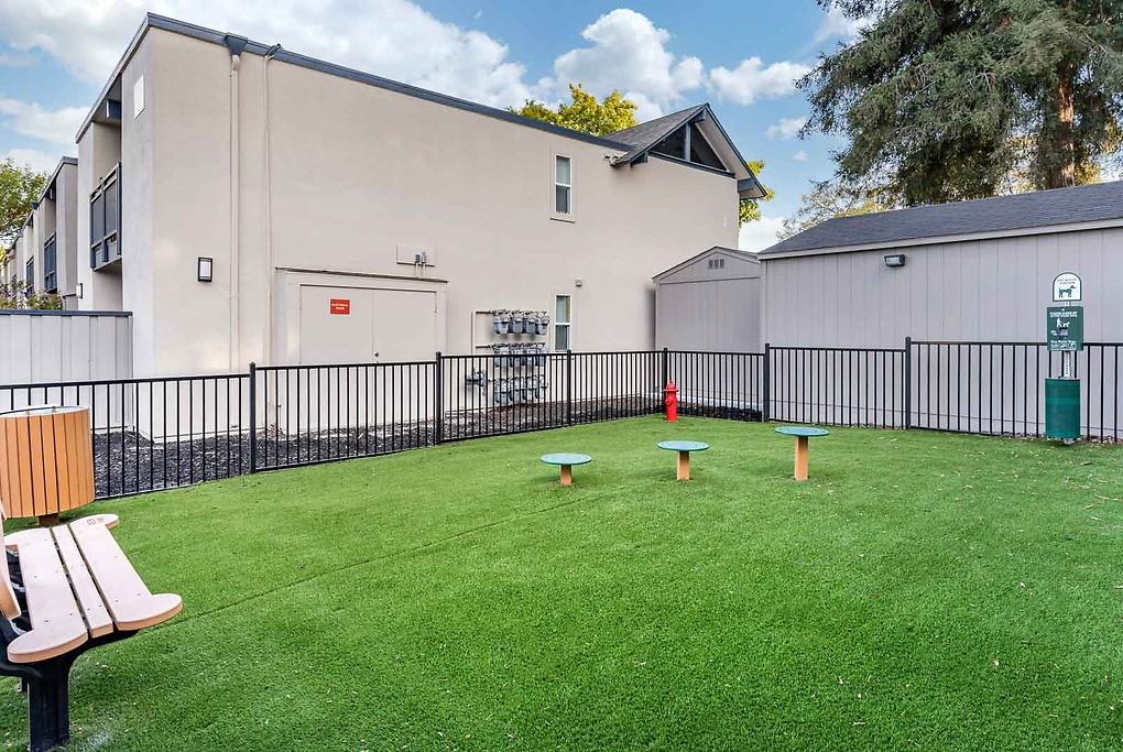 Reed Square - Photo 4 of 41