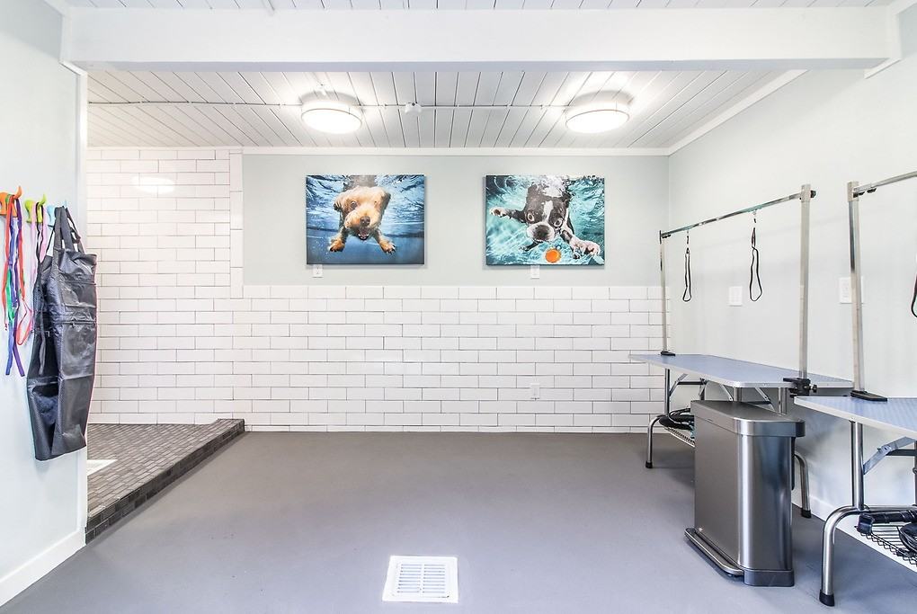 Reed Square - Photo 5 of 41