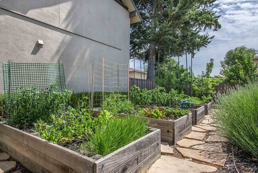 Reed Square - Photo 6 of 41