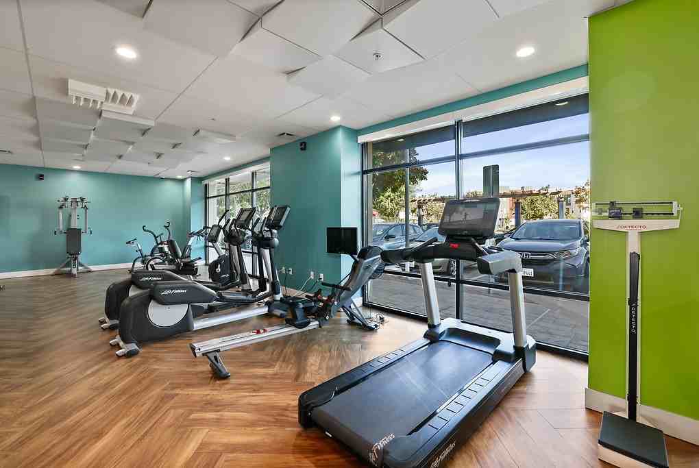 The Plaza - Photo 4 of 46