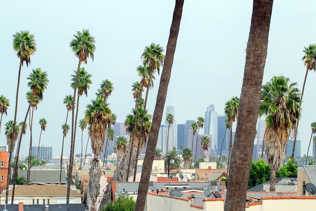 Windsor Court - Photo 5 of 21