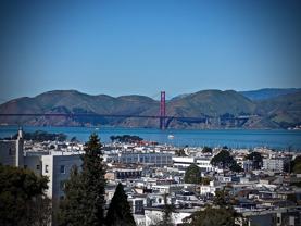 1750 Vallejo St #405 - Photo 1 of 1