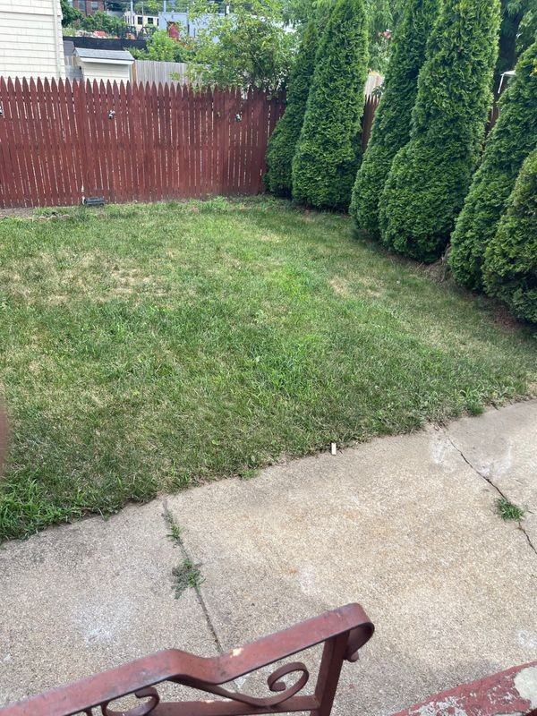 398 Wellington Ave - Photo 4 of 4