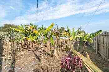 472 Ironwood Dr #472 - Photo 6 of 36