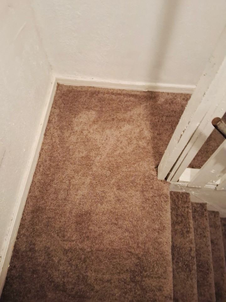 811 Baker St #1 - Photo 7 of 21