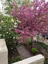 1745 Kilbourne Pl Nw #2 - Photo 1 of 1