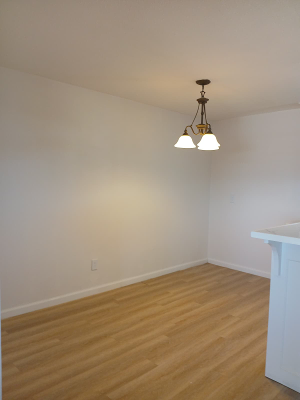 3107 E Monte Cristo Rd - Photo 7 of 10