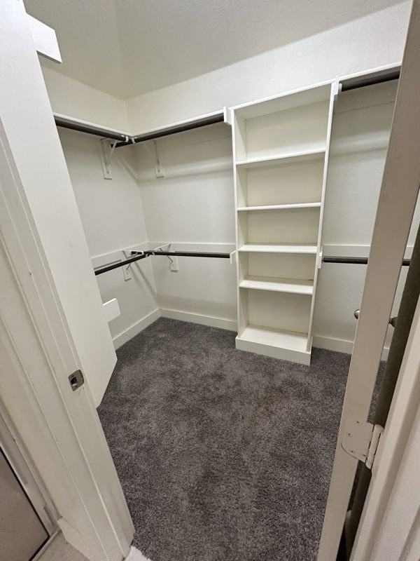 1013 Larch Ln - Photo 6 of 8