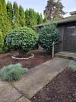 featured image of 6800 Wheatland Rd N