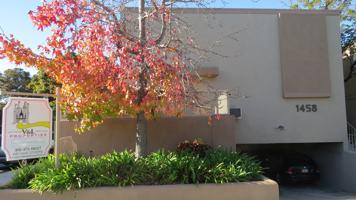 featured image of 1458 Berkeley St