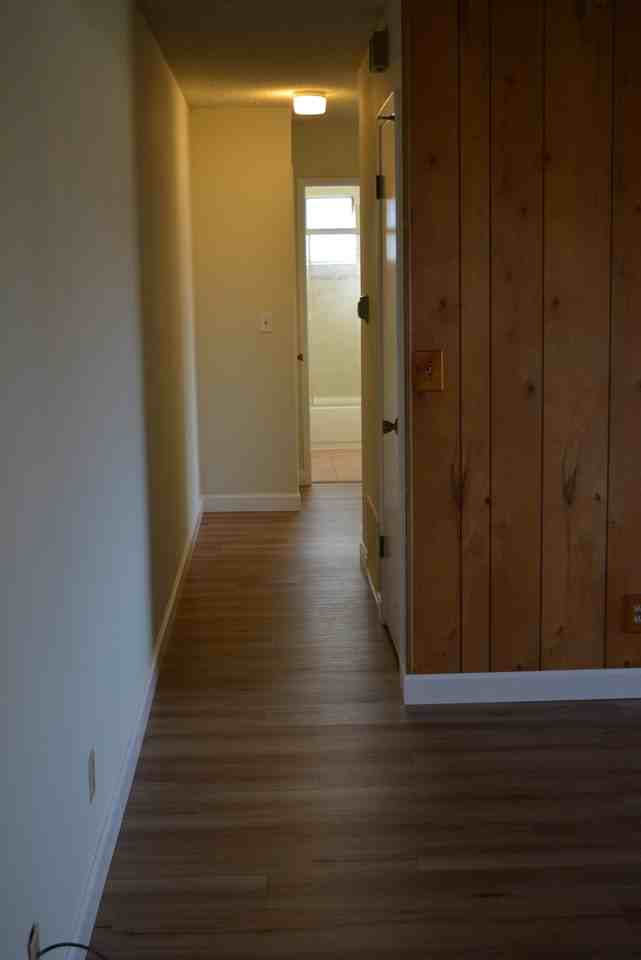 219 Watson Dr #4 - Photo 5 of 12