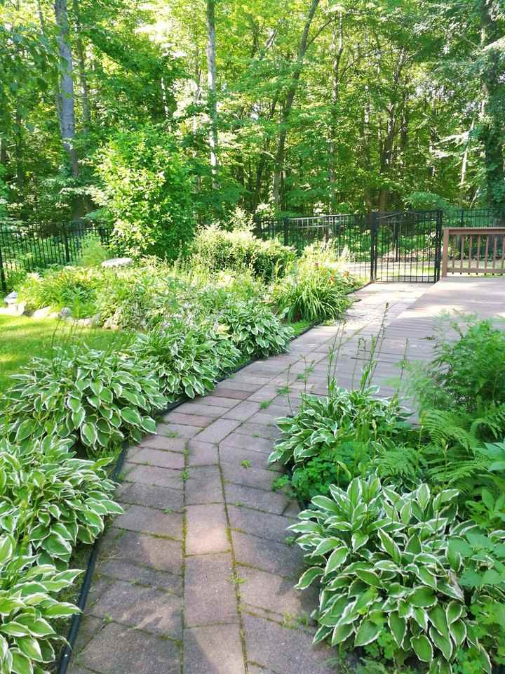 247 Woodland Road - Photo 5 of 32