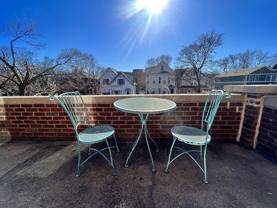 Wilson - Photo 1 of 1