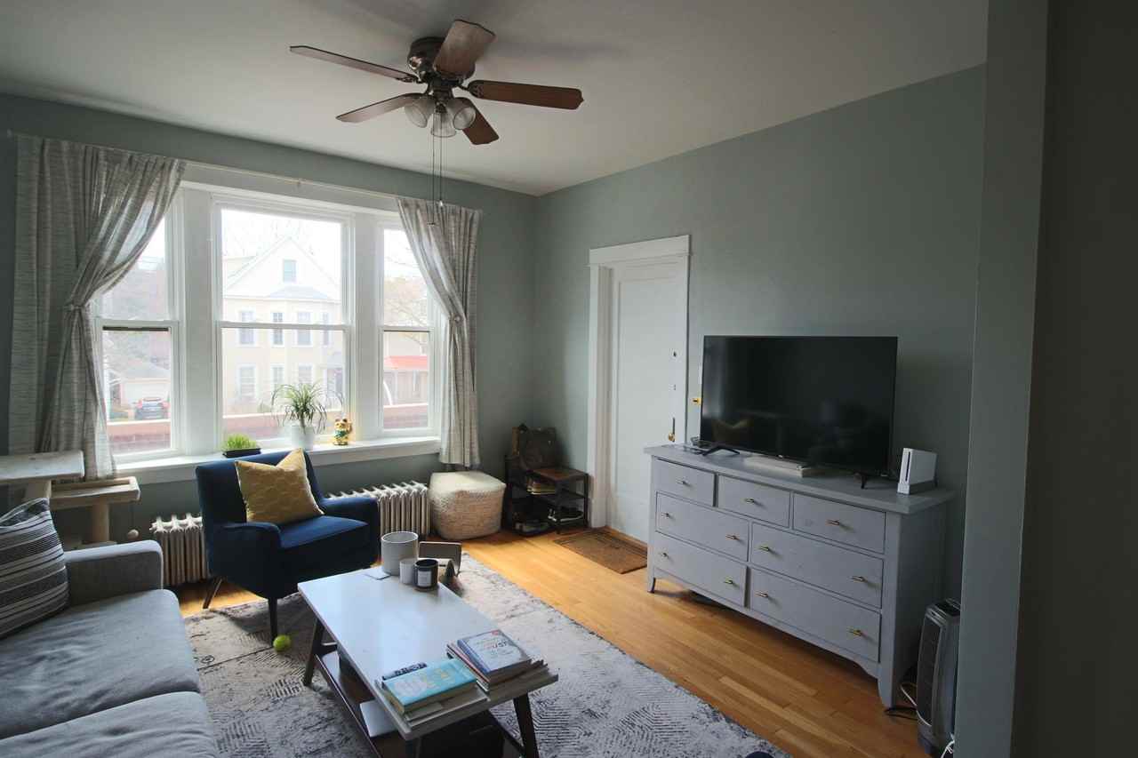 Wilson - Photo 6 of 34