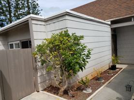 94-433 Lanikuhana Pl #1119 - Photo 1 of 1