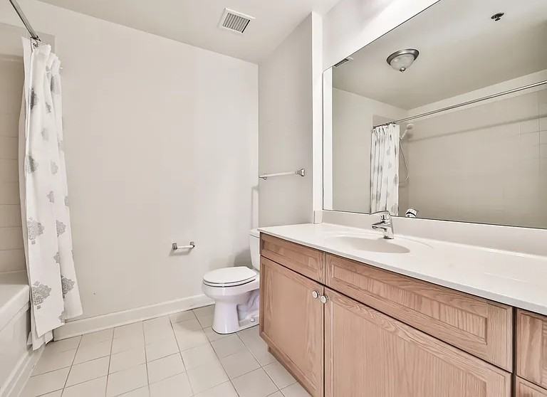 1400 S Michigan Ave #503 - Photo 7 of 16