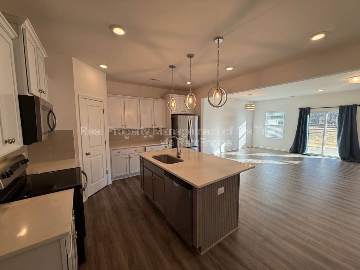 206 Solacium Ln - Photo 3 of 10