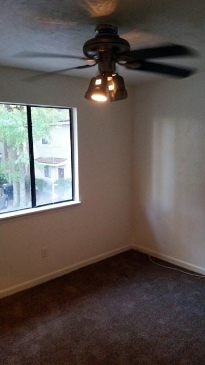 196 Locke St Apt A #A - Photo 7 of 13