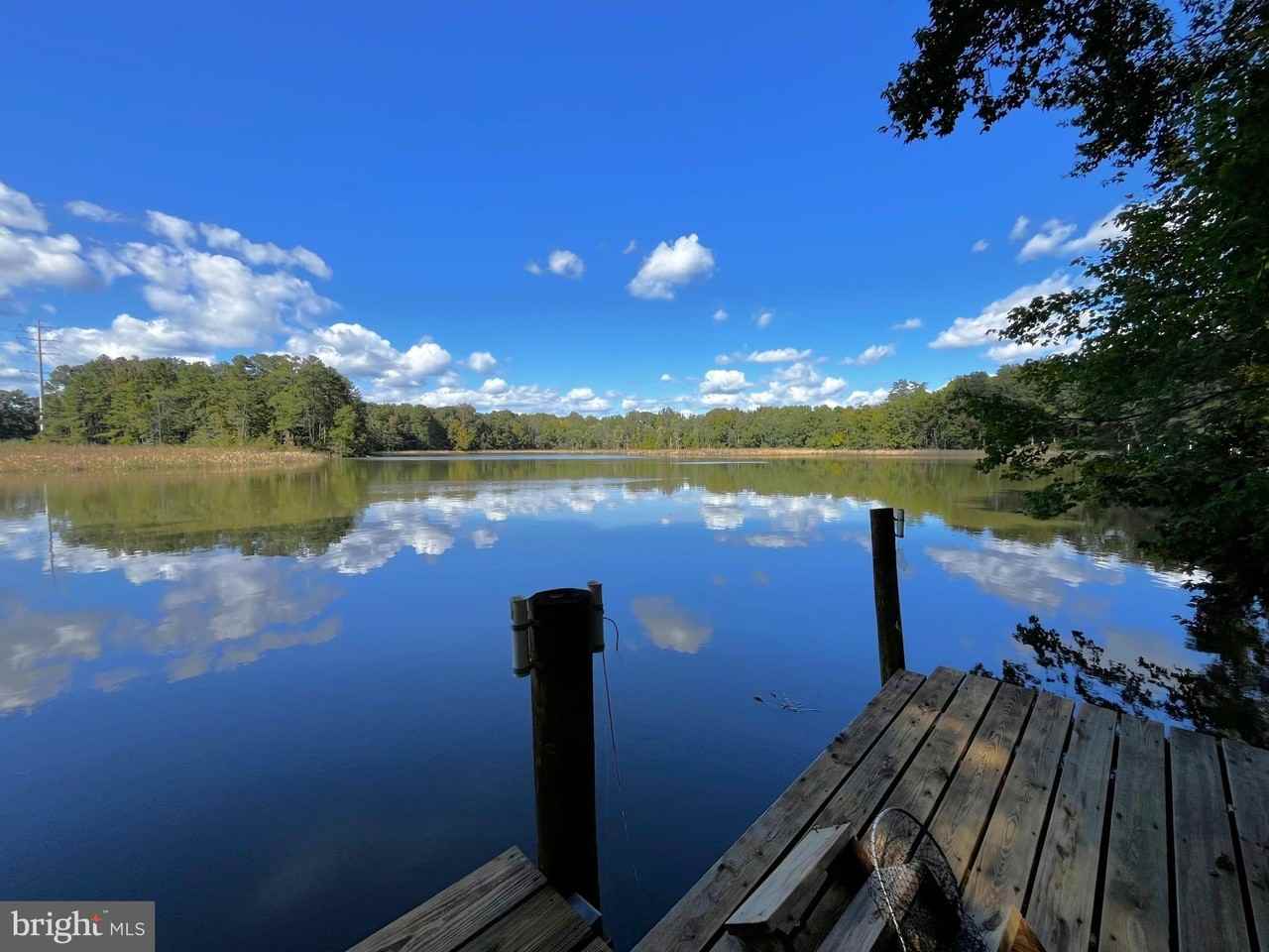 1780 Twirly Ct - Photo 3 of 50