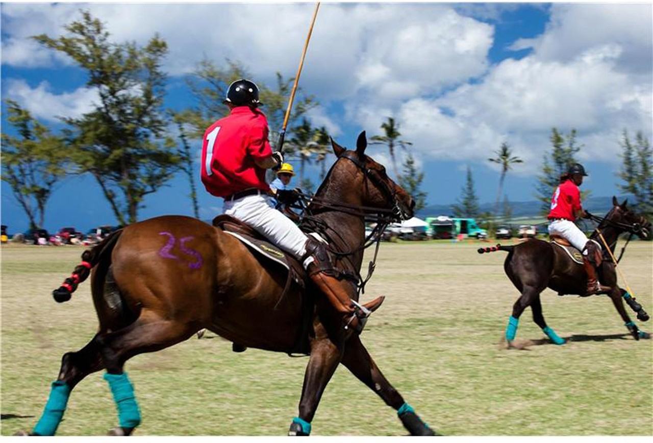 68-434 Farrington Hwy Apt G #NA - Photo 7 of 20