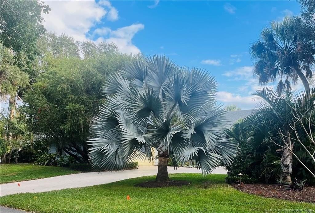 8 Kingston Ct - Photo 5 of 7