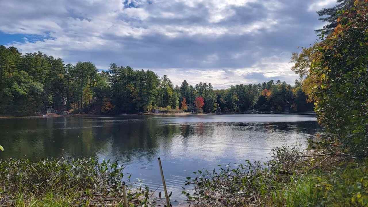 89 Pierpont Rd #1388804P - Photo 4 of 9