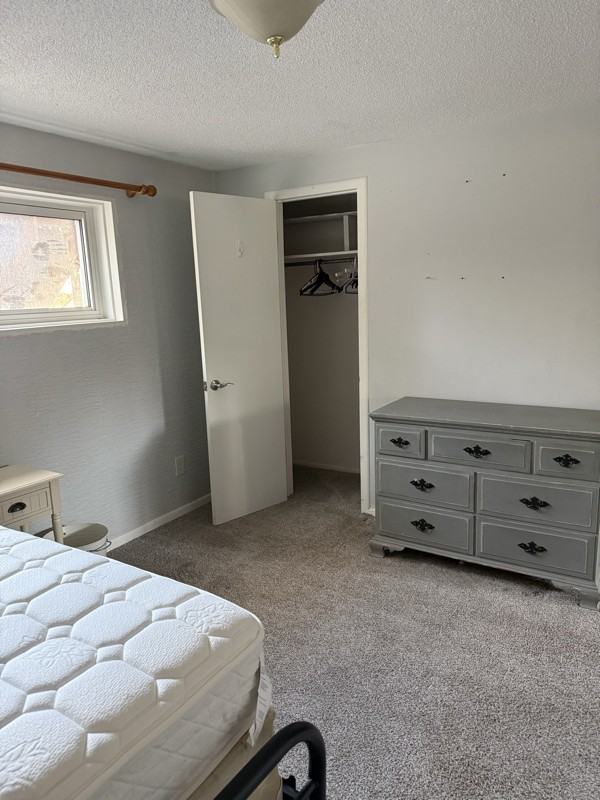 3634 Alpine Pl - Photo 4 of 9