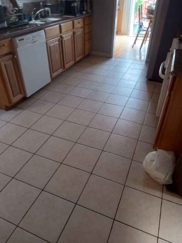 225 Dennis Dr - Photo 3 of 25