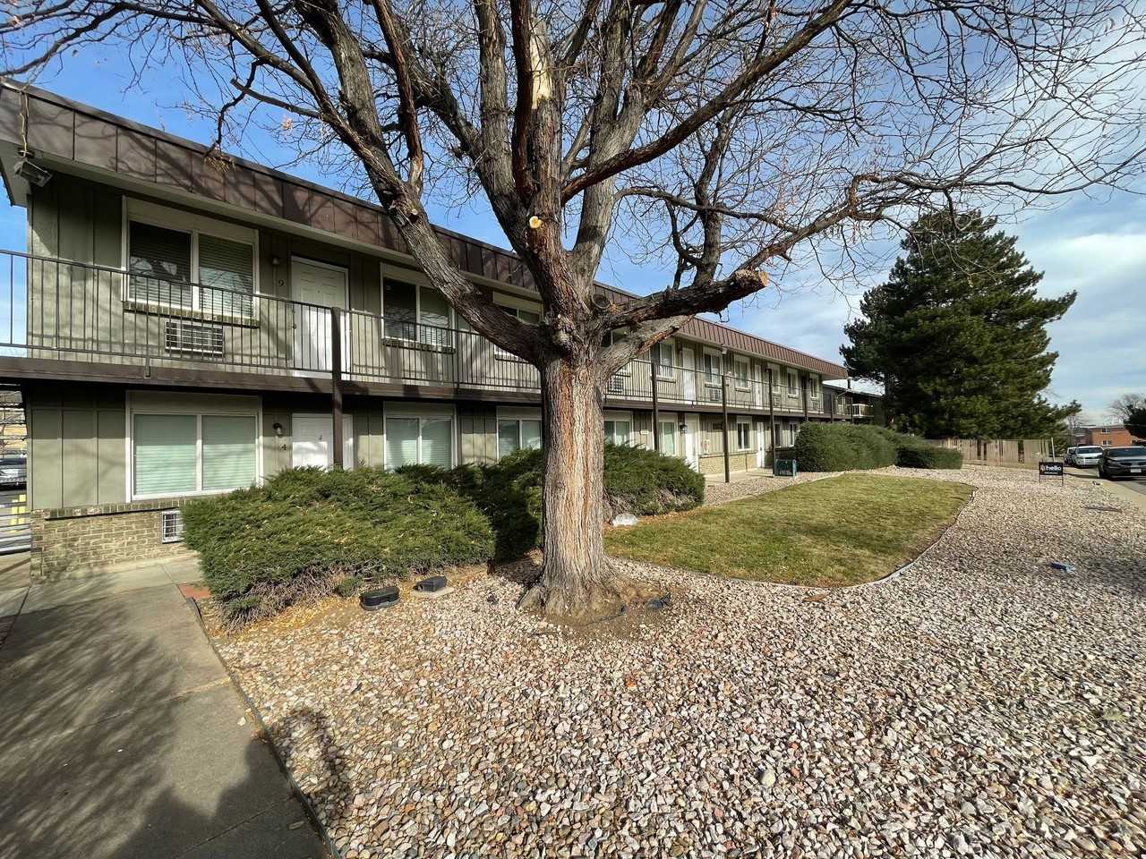 Carmen Rosa - Photo 3 of 30