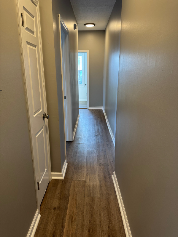 47 Atkinson St #47-2 - Photo 5 of 19