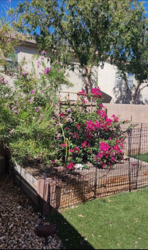 7244 Nova Ridge Ct - Photo 7 of 12