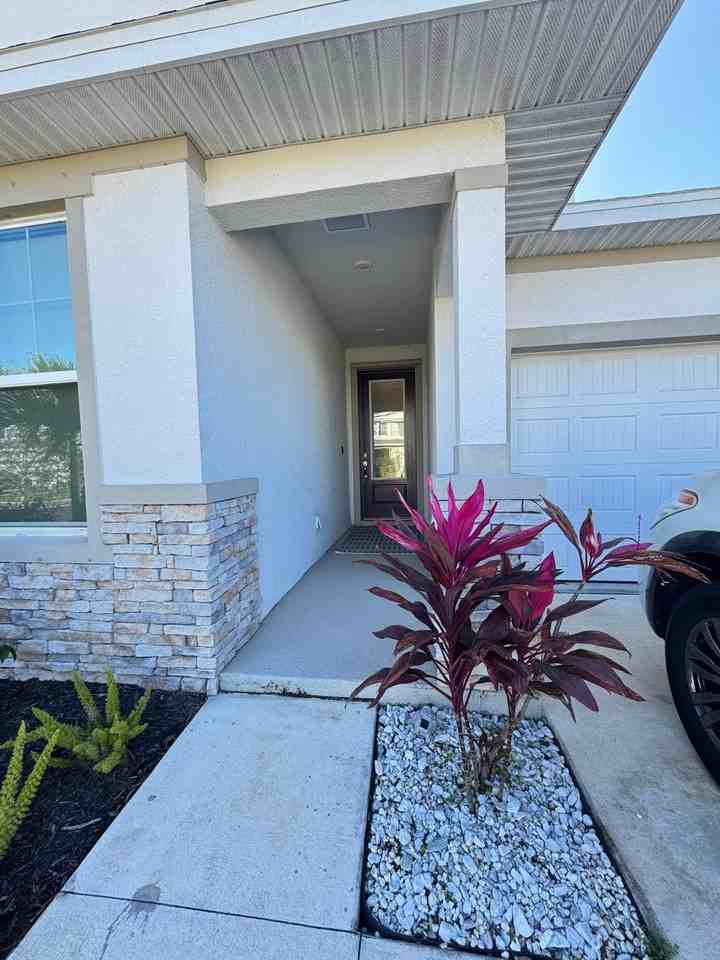 5447 Spanish Moss Cv #NA - Photo 2 of 15