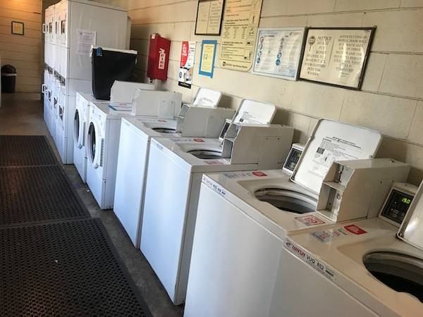 1550 Wilder Ave - Photo 7 of 12