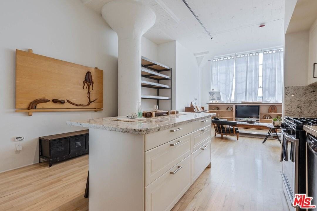 420 S San Pedro St Apt 423 #423 - Photo 5 of 26