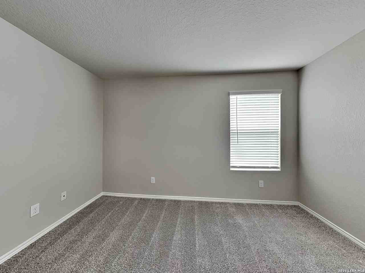 8434 Amistad Cv - Photo 7 of 16