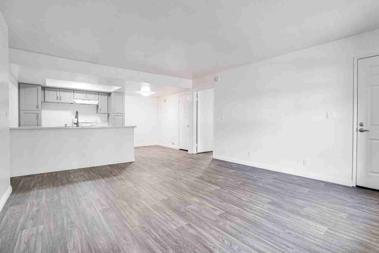 Pebblecreek Apartments | Spacious Apartment Homes in the Heart of San Marcos! - Photo 3 of 50