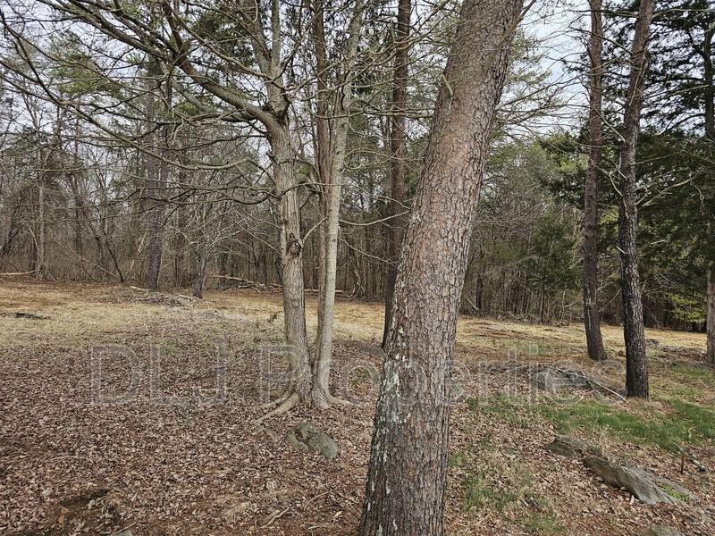 946 Harbin Rd - Photo 3 of 17