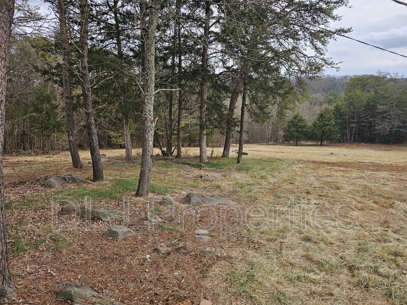 946 Harbin Rd - Photo 4 of 17