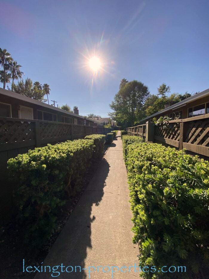 5008 Bremner Way #3 - Photo 7 of 24