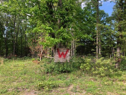 12378 Pond Creek Rd #NA - Photo 2 of 2