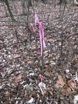 Highway N #NA - Photo 1 of 1