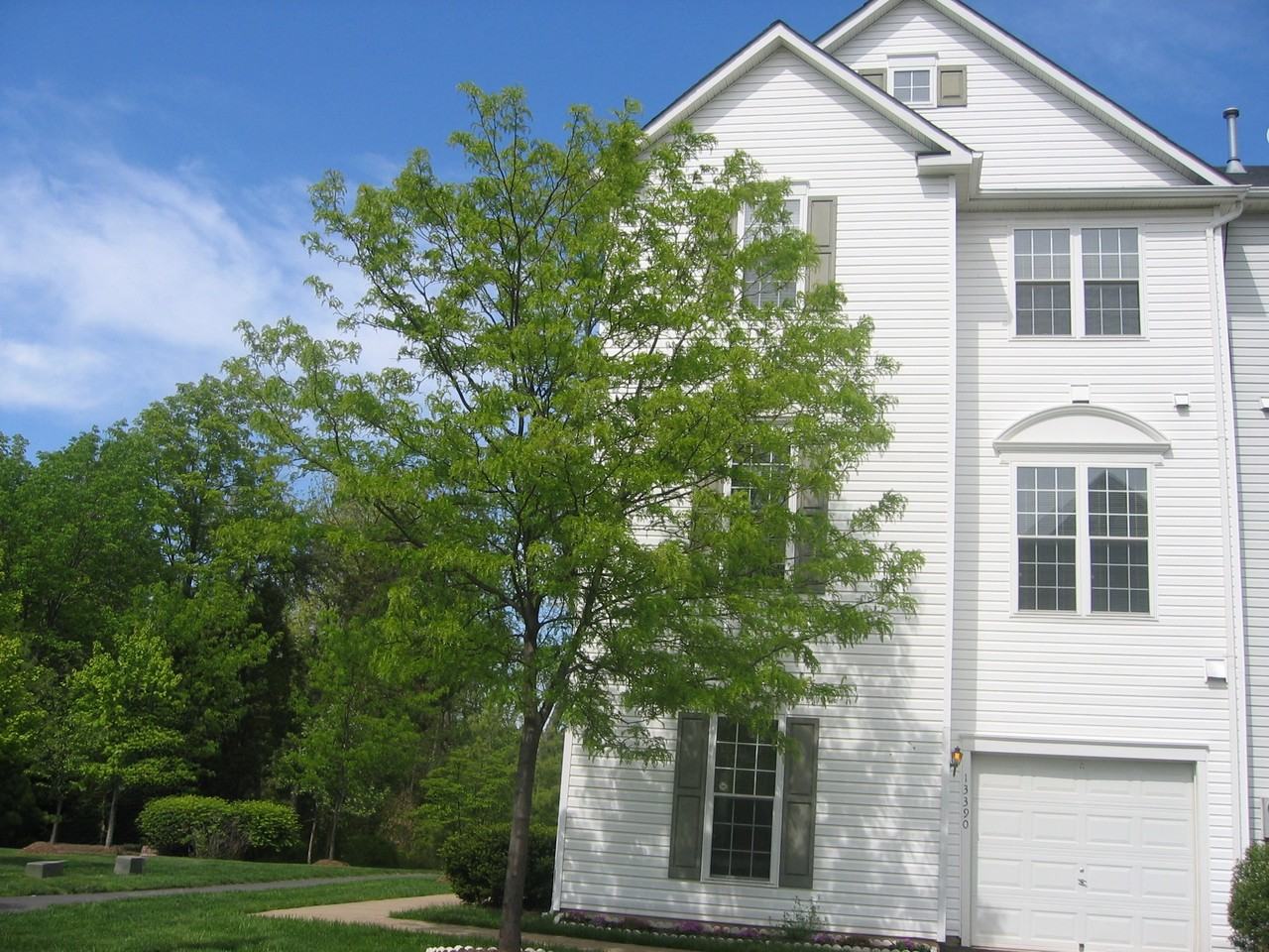 13390 Cleeve Hill Ct - Photo 2 of 27