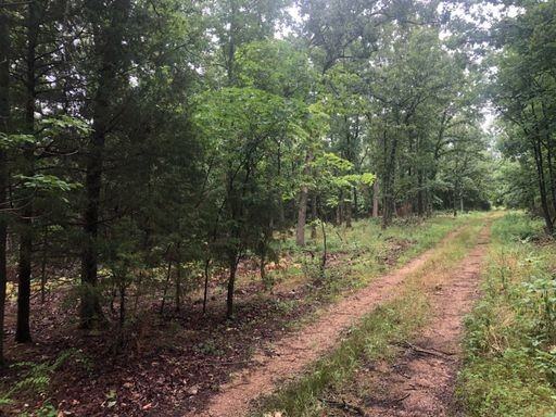 15250 E State Hwy E #NA - Photo 2 of 6