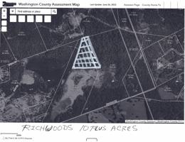 featured image of Coyote And Pawpaw #NA