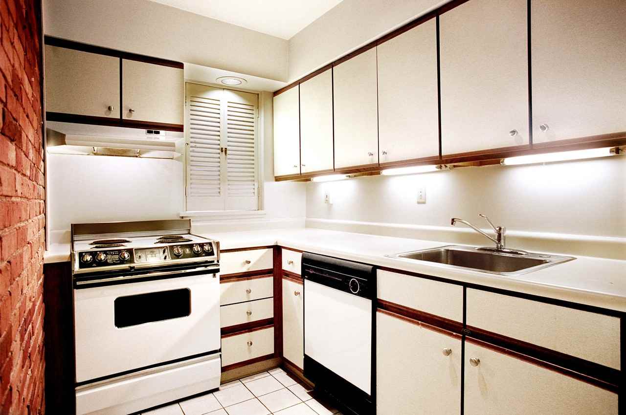 513 Shady Ave #11 - Photo 7 of 15