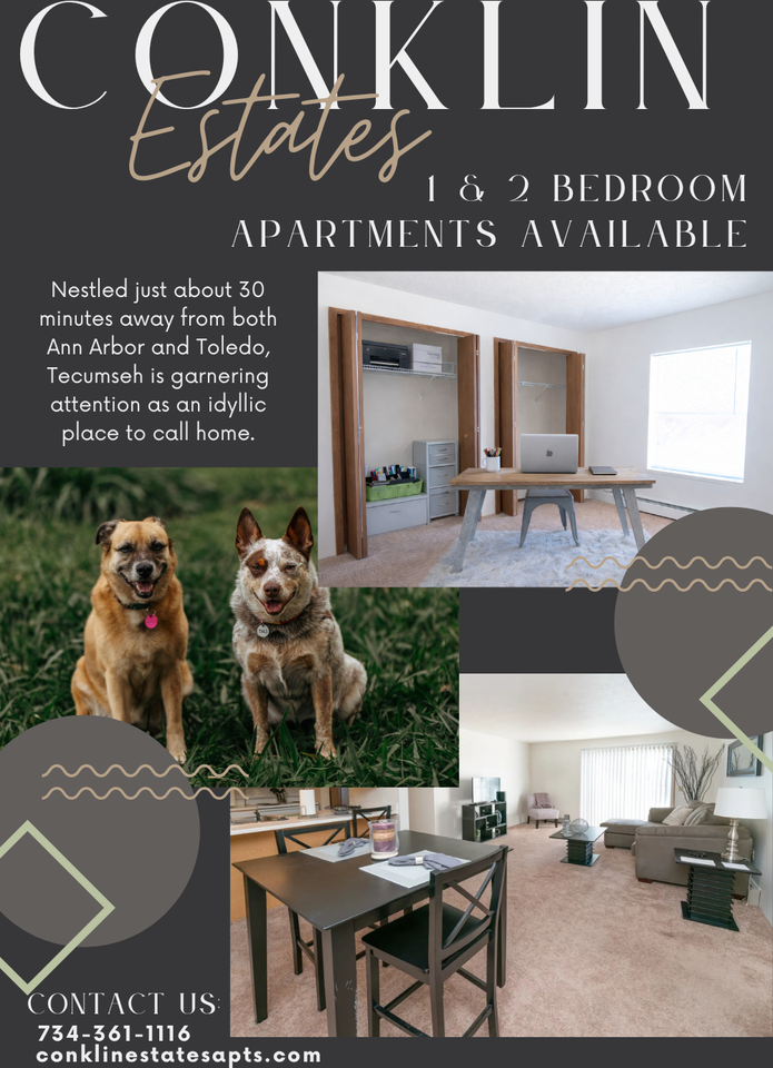 1074 E Chicago Blvd #15