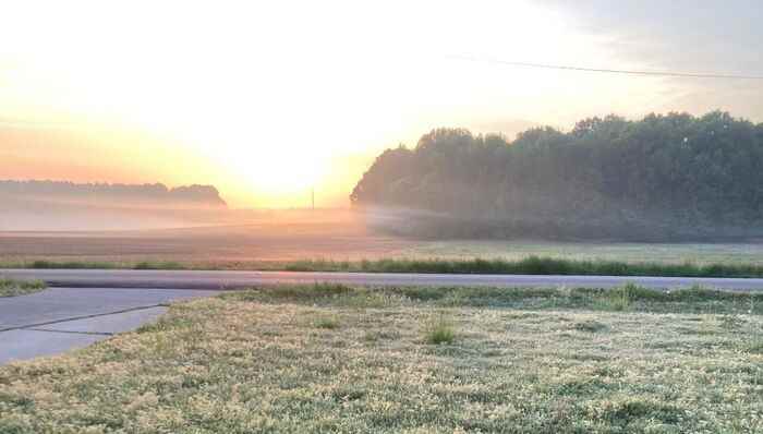 732 Jimmy Fisk Rd - Photo 3 of 4